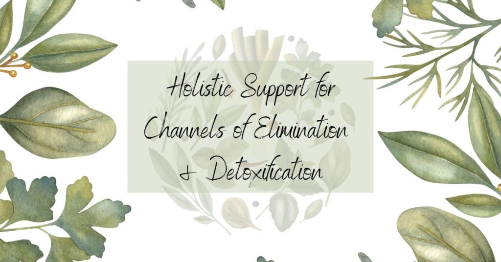 Holistic Support for Channels of Elimination and Detoxification