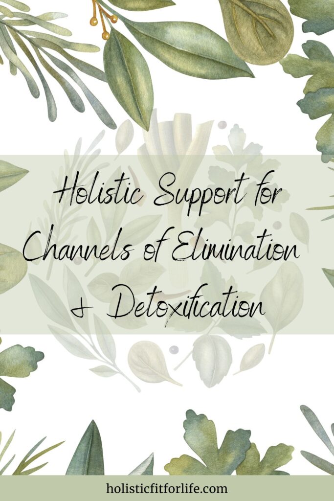 Holistic Support for Channels of Elimination and Detoxification